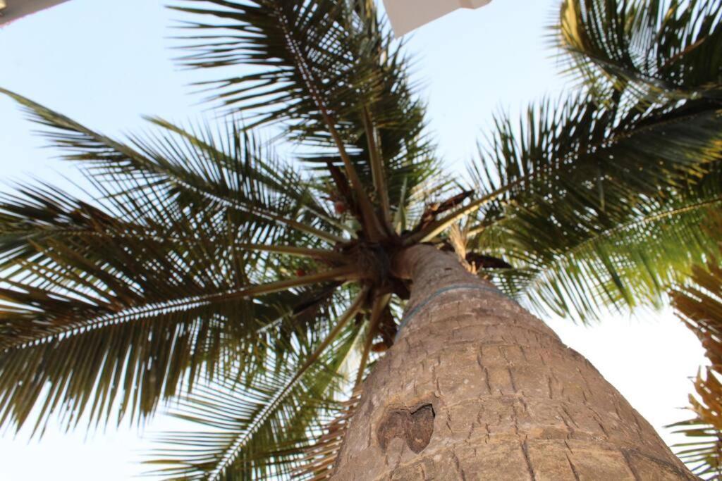 Valerys Nest Bogmalo - Private Villa Near The Beach And Dabolim Airport Exteriér fotografie